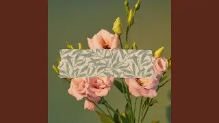 Background for Entertaining Essentials