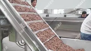 How Cocoa Powder is Made in Factory? Cocoa Powder Manufacturing Process