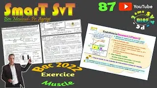 87-Bac2022-Exercice-Muscle