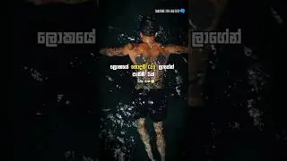 Lessons from the best CEOs|හොදම CEO ලාගේන් පාඩම්|Sinhala|Motivation|#life#success#shorts#lifelesson
