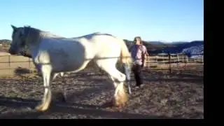 Keela training video 1 001