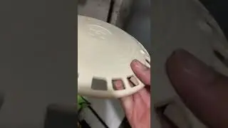 Swimming pool drains