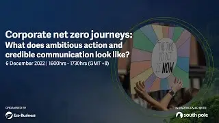 Corporate net zero journeys: What does ambitious action and credible communication look like?