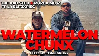The Bad Seed x Murda Megz ft. LR Blitzkrieg & Tone Spliff - Watermelon Chunx