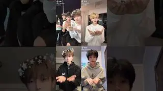 《给老婆的保证书》手势舞挑战 #douyin #chineseboy #dancecover #shorts
