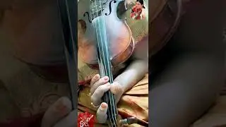 Shyamale Meenakshi | Nottuswaram-1 | eViolinGuru | Lesson