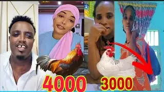 Tijji ethiopia gaalte waani ishi mudate paanti qarshi 1200 lukun 4000 