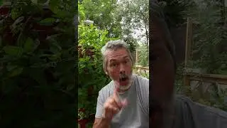 Vertical Off Grid Gardening with Cheap & Easy Hydroponics