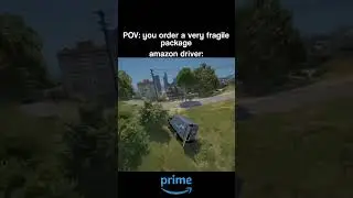 POV: you order a very fragile package and Amazon delivery guys, U guys wanna see more GTA5