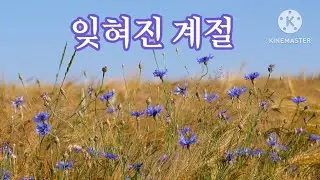 잊혀진 계절 / 이용 