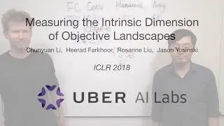 Measuring the Intrinsic Dimension of Objective Landscapes