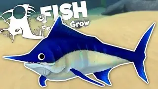 Level 100 Swordfish Kills Great White Shark! - New Fish Update - Feed and Grow: Fish Gameplay