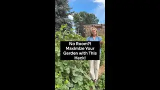 No Room?! Maximize Your Garden with This Hack! #shorts