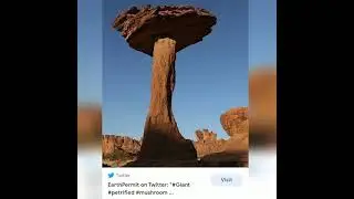giant petrified MUSHROOMS 🍄