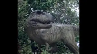 Techstination #Dino Don Interview