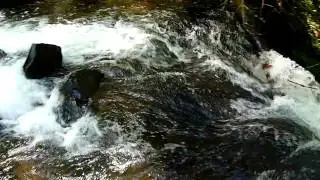 Sheppards Dell Falls