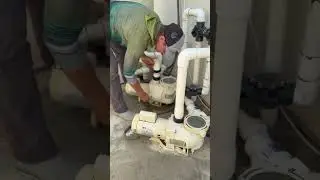 Repairing Pentair Whisperflo plate seal #helpmemakethismakesense #poolpump #pumprepair #pumpleak