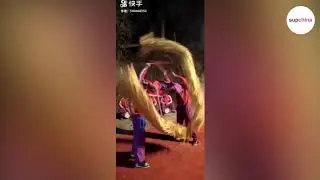 Teams of skilled performers dance in dragon costumes!