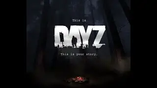 Server DZM - Syberia Project