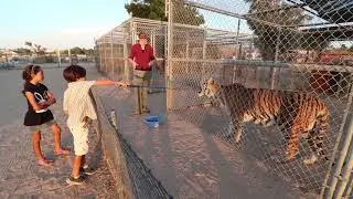 Kids feed a Tiger & a Lemur/Hesperia Zoo/Liv and Oli visit Hesperia, California