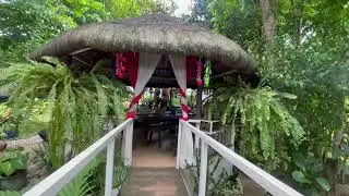 V140-23 • Escape To Nature: Farm House Living in 1,214 SQM Mini Forest Paradise | Silang, Cavite