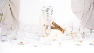 Muse (Official Music Video) - Samiere