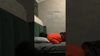 Скорость выключения будильника. Автор видео: @adil_v_gorodeee  #комментарии #юмор #мемас