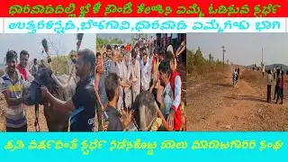 ಬೈಕ್ ಸೌಂಡಿನಿಂದ ಎಮ್ಮೆ ಓಡಿಸುವ ಸಖತ್ ಸ್ಪರ್ಧೆ #dharwad #dharwadnews #buffalo #race