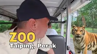 Kembara ke Zoo Taiping