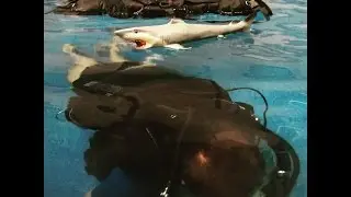Project AWARE at DIVE 2015
