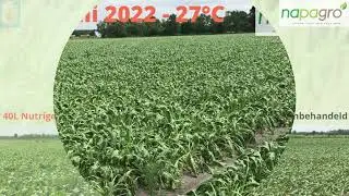 Nutrigeo in bieten -  the sequel