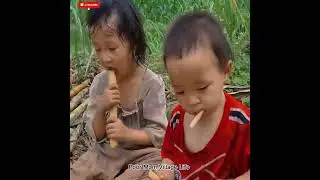 3 Sisters Harvest Crops from the Farm | Selling at the Market for Family Food