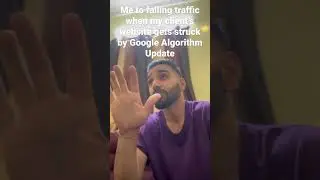 Search Engine Optimisation(SEO) | Google Algorithm Update | When Traffic Falls