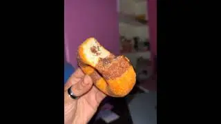 Donut Chocolate Cake and Dark Chocolate Cake 🍩🍩🍪#viralvideo #food #shortvideo