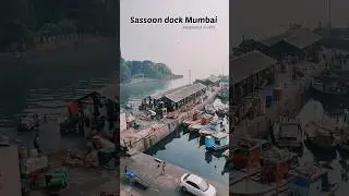 Sassoon dock Mumbai #mumbai #india #viral #shorts #trending #love #travel #transport #travelvlog