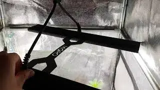 Migro Aray 2 120w Review with Orange Juice #2
