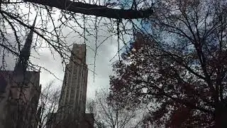 Cathedral of Learning