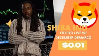 The Millionaire's Crypto Show W/ December DeMarco Let's Talk (Shiba Inu News, Crypto, Stocks, NFT's)