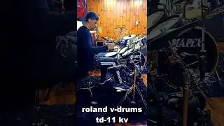 Roland v-drums td11 kv