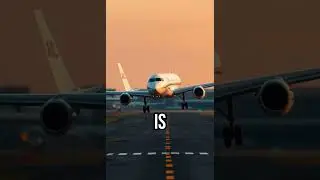Why Are Planes Almost Always White  ✈️#oddlyinterestingfact