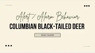 BIO 331: BOM THREE - Columbian Black-Tailed Deer