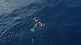 MISS MERMAID Trailer (VOSTENG)