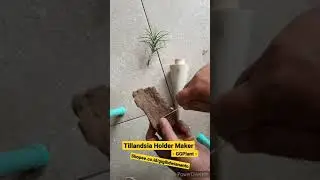 How To Make #tillandsia Wire Holder