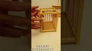 ملطش صيد الطيور