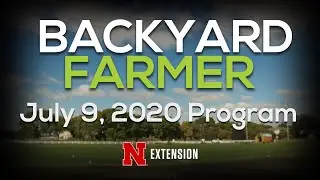 Backyard Farmer July 9, 2020