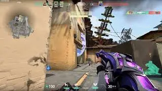 Clove 4k AND Spray Transfer