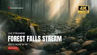 LIVE: Peaceful Forest Waterfall 4K | Gentle Stream Ambience with Light Rays for Sleep & Relaxation