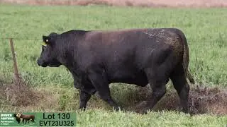 Lot 130 EVT23U325 Peakes Bowen 2025