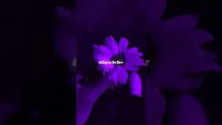 Dancin - Aaron Smith | lyrics | aesthetic | whatsapp Status | English songs | slowed | sped up #edit