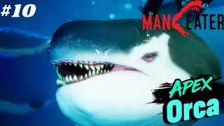 Melawan Apex Orca - Maneater Indonesia - Part 10